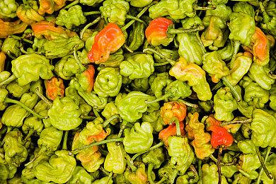 开发者透露《索尼克×夏特 世代重启》通关时长